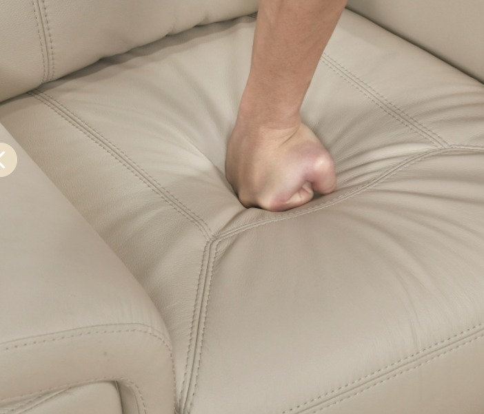 Nest Reclining Sofa