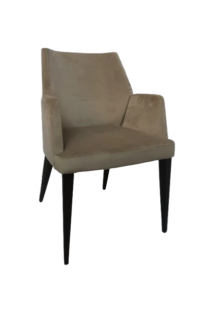 Wing Upholstered Chair-Arm